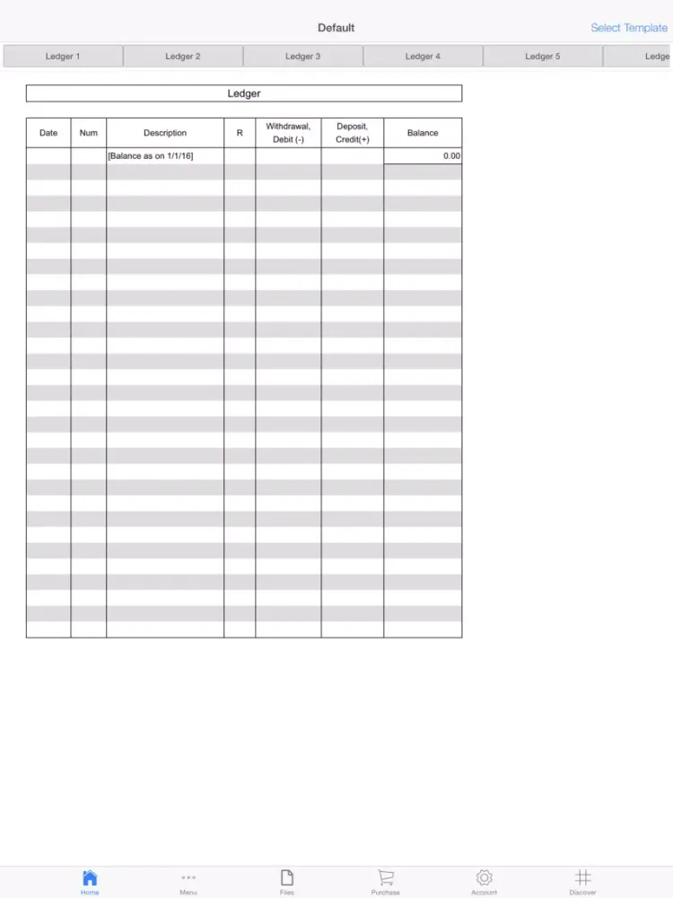 Tangkapan layar Company Ledger iPad 