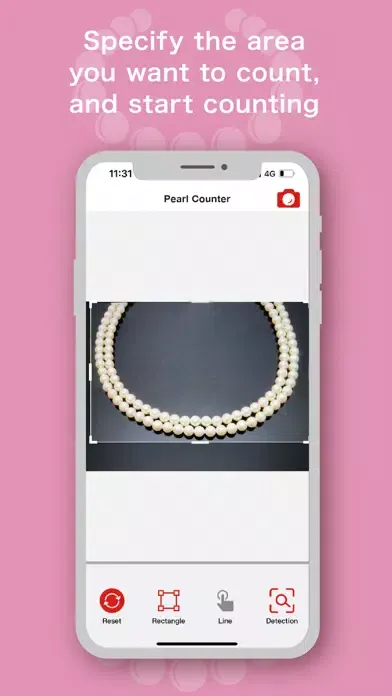 صور CountPearl