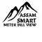 Assam smart meter bill check