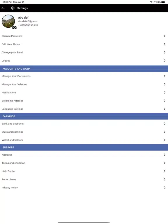 Screenshot di Assyst Partner iPad 