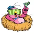Bella The Snobby Pinky Bird