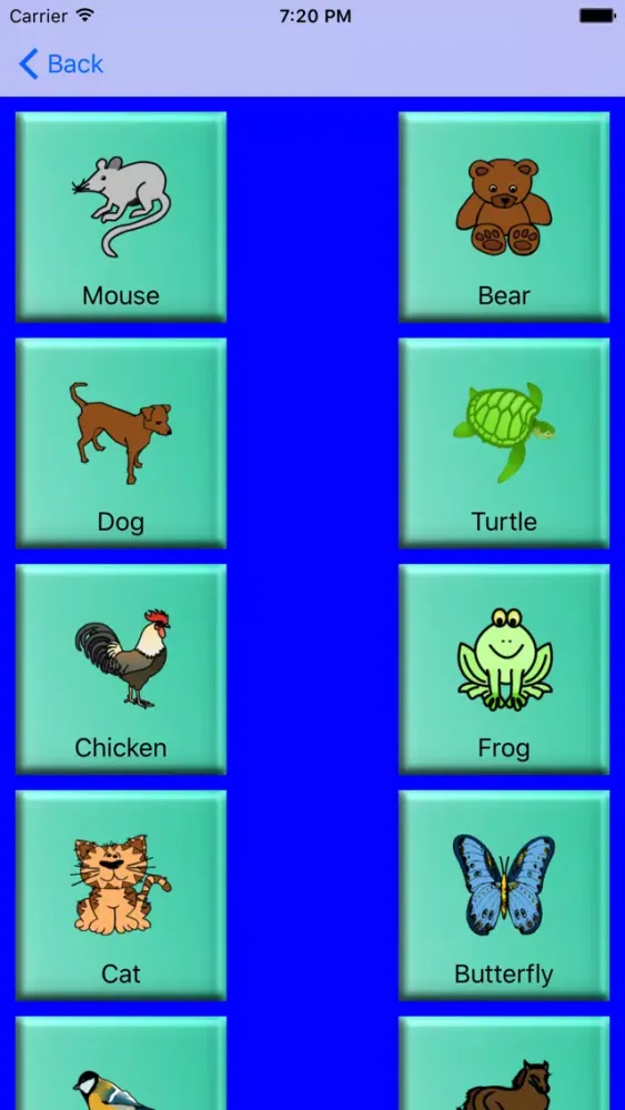 صور My First English Words