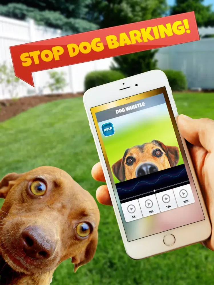 Ảnh chụp màn hình của Dog Whistle Training iPad 