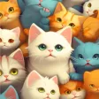 Find Lost Cats