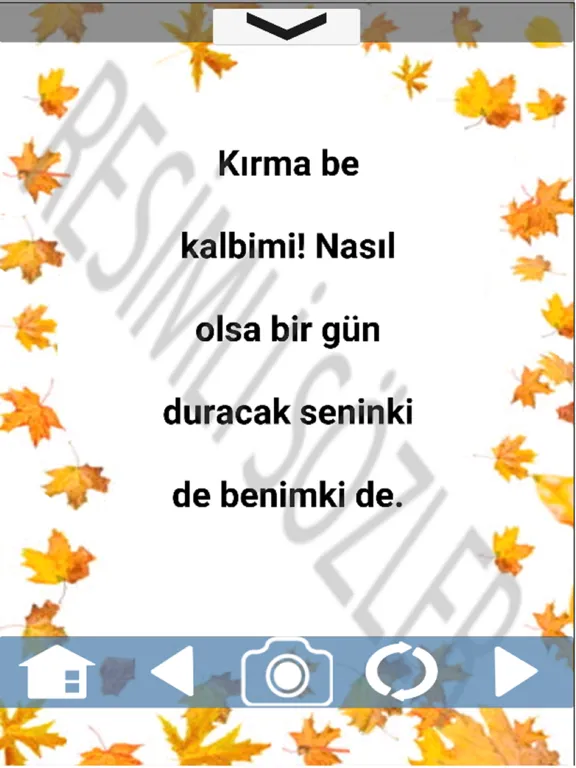 Resimli Sözler iPad  স্ক্রিনশট