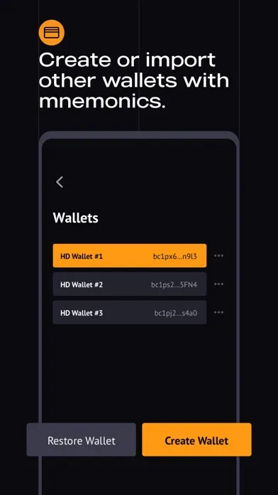 Captures d'écran de WizzWallet - Bitcoin Wallet