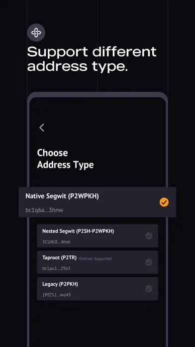 Captures d'écran de WizzWallet - Bitcoin Wallet