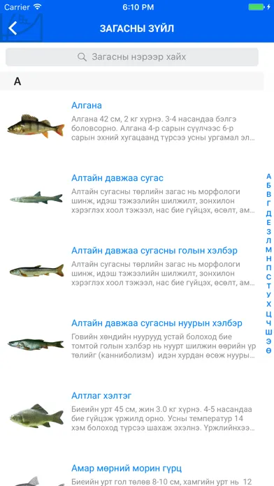 eZagas Ekran Görüntüleri