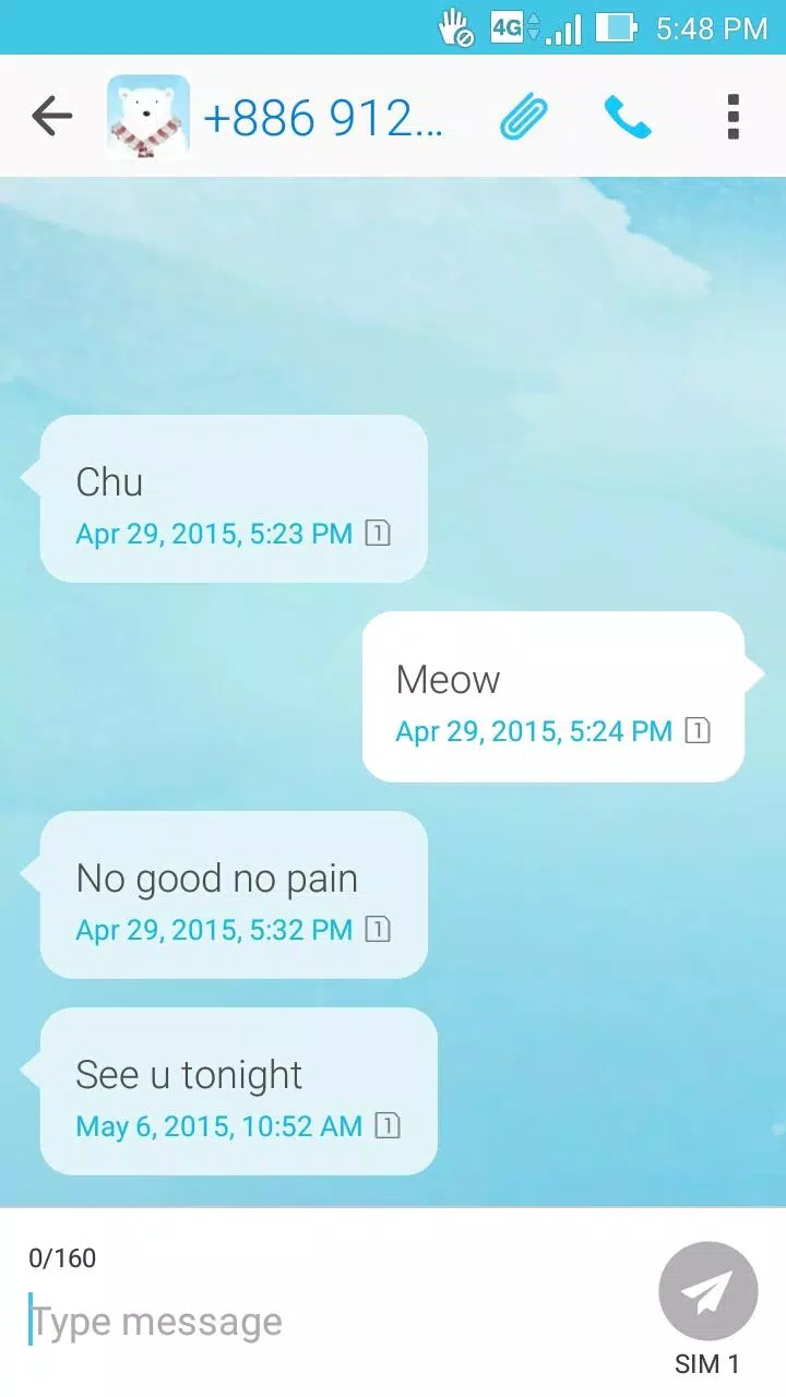Polar Bear ASUS ZenUI Theme Screenshots