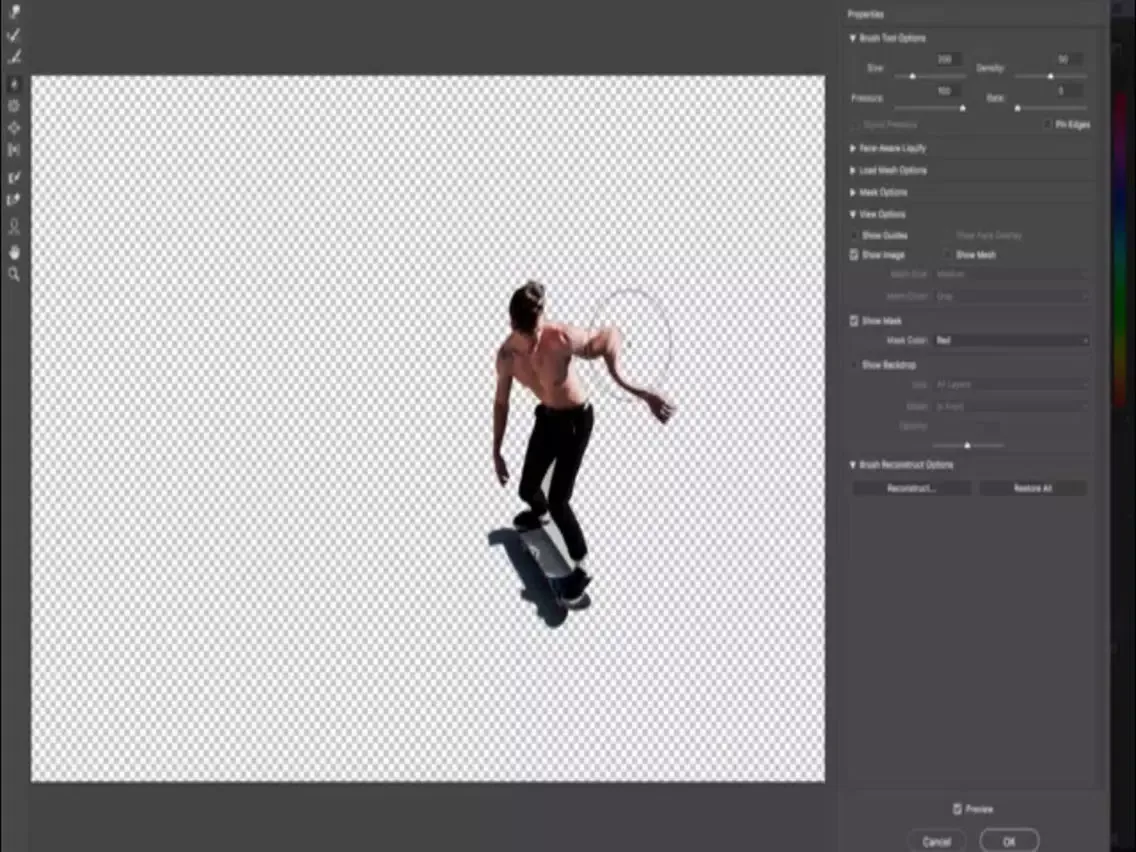 Capturas de pantalla de Easy To Use! For Adobe Photoshop 2017 iPad 