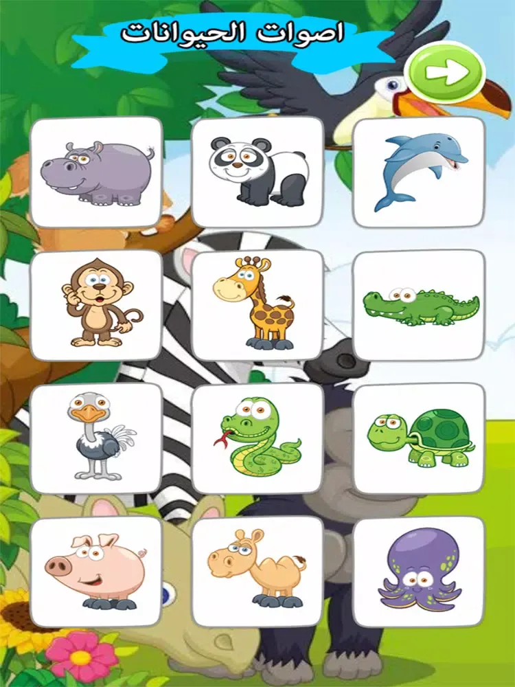 تصاویر اصوات الحيوانات صوت وصورة iPad 