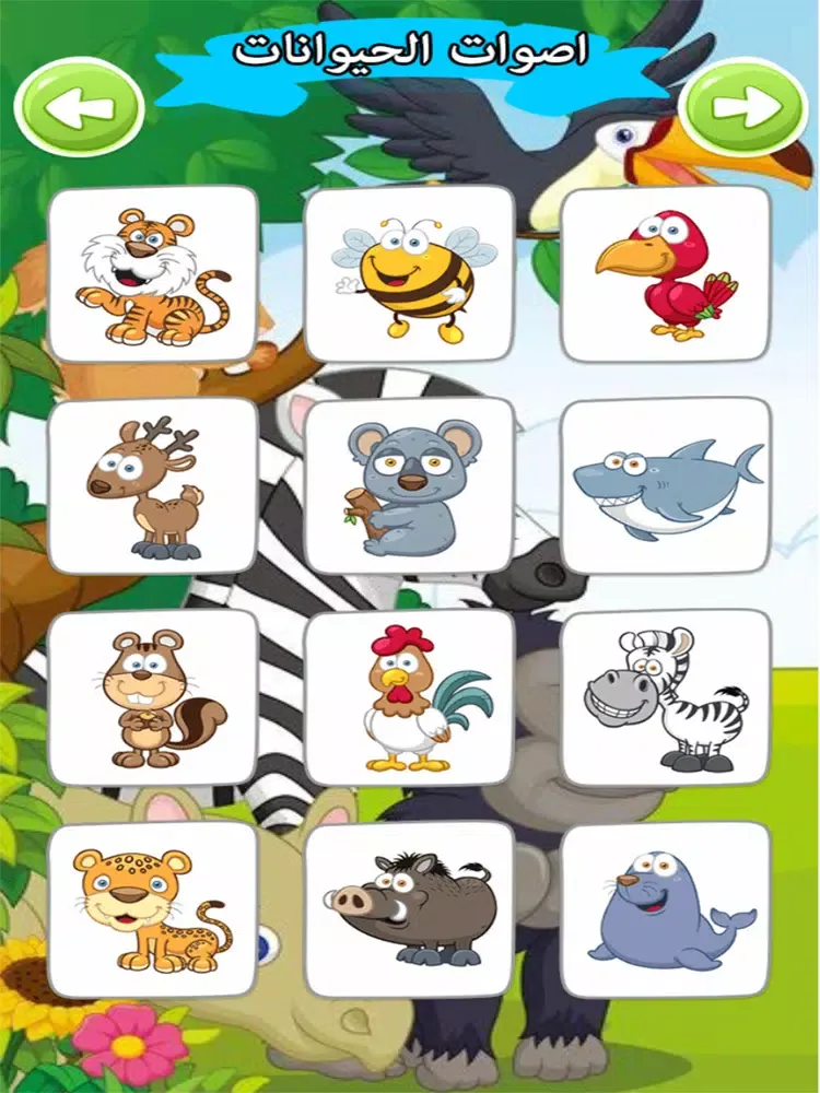 تصاویر اصوات الحيوانات صوت وصورة iPad 