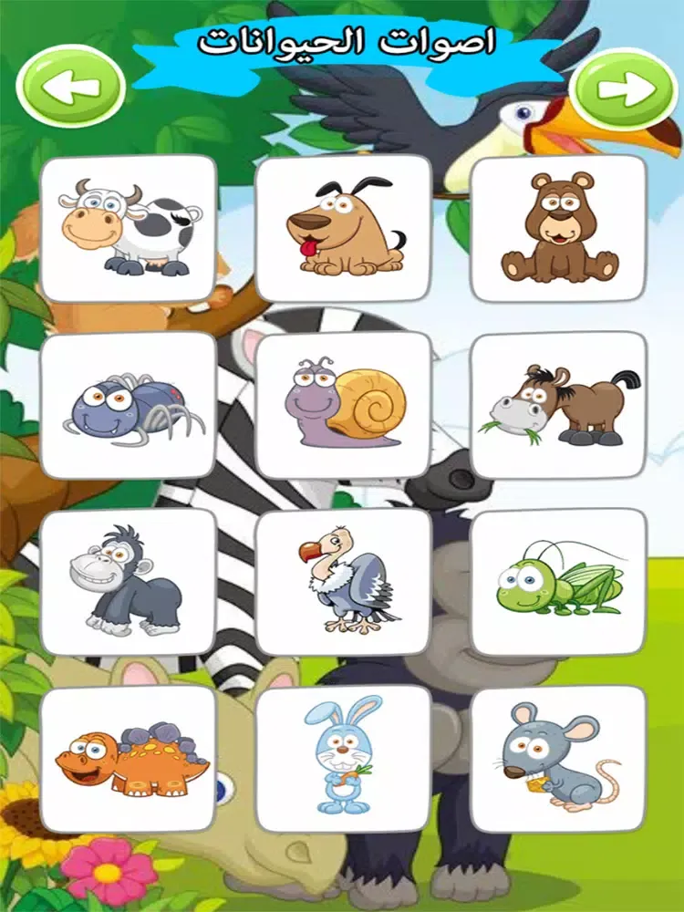 تصاویر اصوات الحيوانات صوت وصورة iPad 