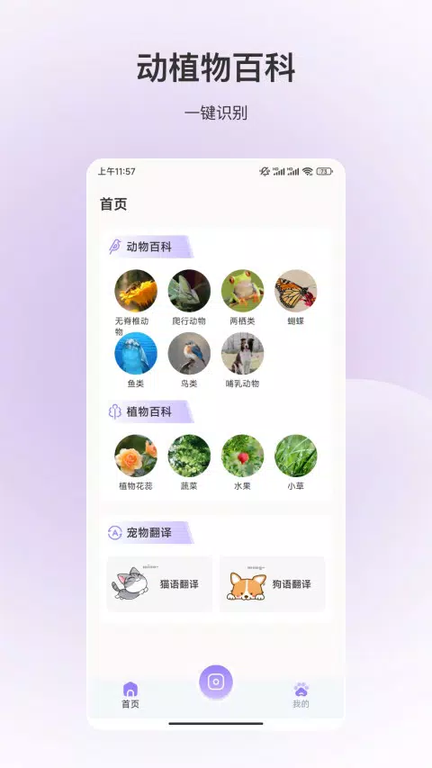 动物识别 Screenshots1