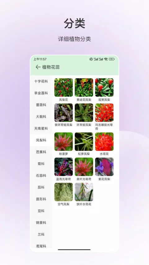 动物识别 Screenshots3