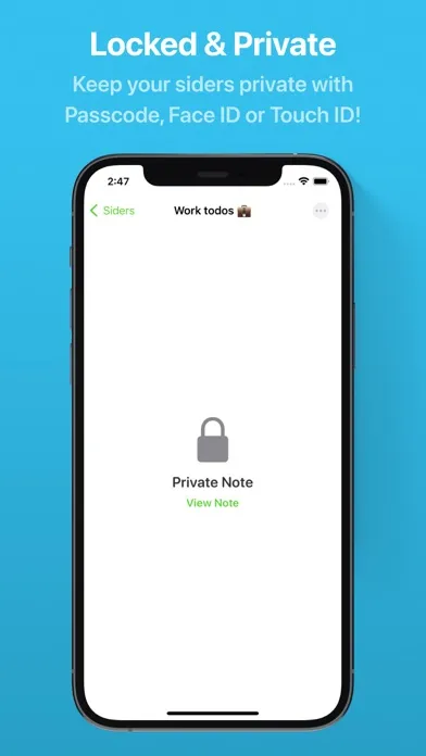 Sider - Todos for Tomorrow应用截图