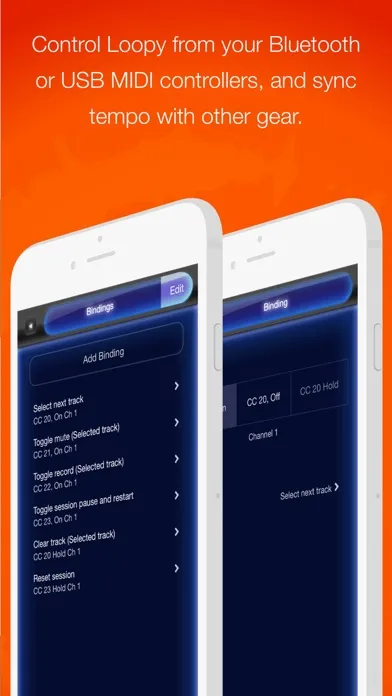 Loopy HD: Looper স্ক্রিনশট