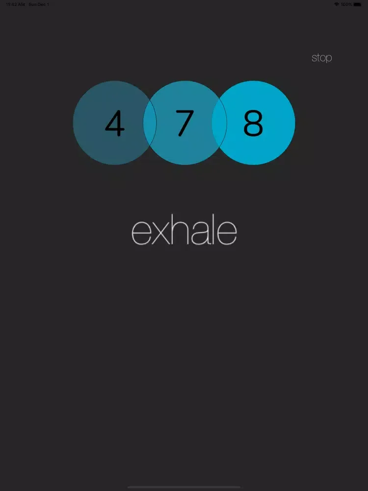 صور 478 iPad 