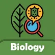 Biology Key Cards GCSE Biology Key Cards GCSE
