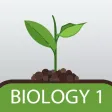 GCSE Biology Practice GCSE Biology Practice