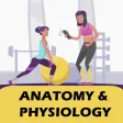 Level 2 Anatomy & Physiology Level 2 Anatomy & Physiology