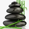 Massage Therapy Exams Massage Therapy Exams