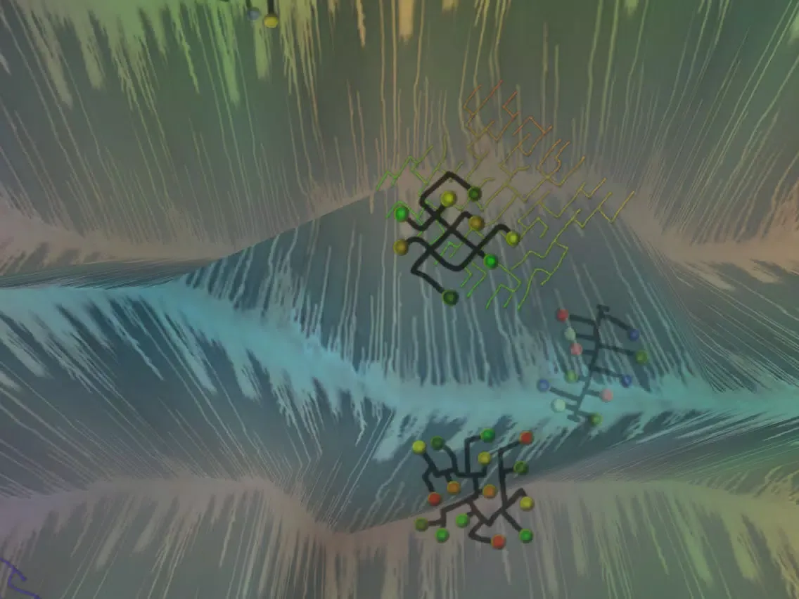 Catch The Shapeshifter iPad  Screenshots