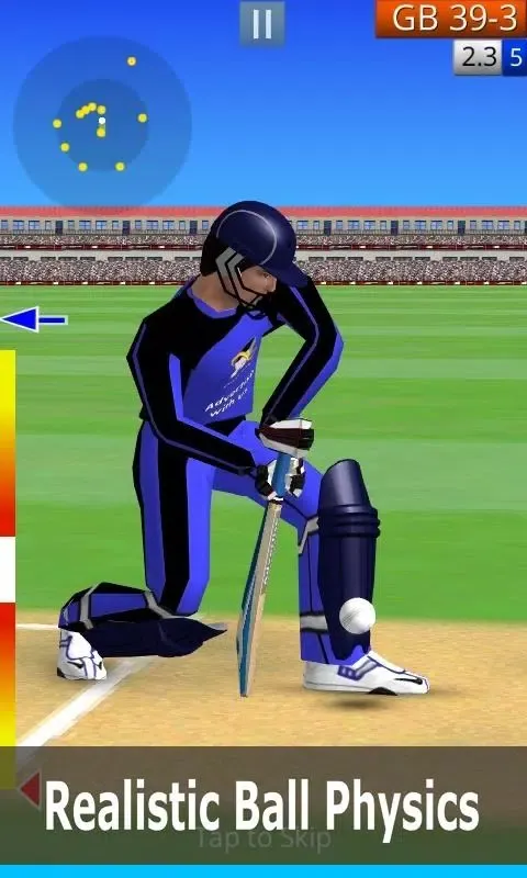 Screenshot di Smashing Cricket