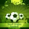 Saudi Arabian Football League