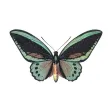 Amazing Butterfly Stickers