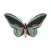 Amazing Butterfly Stickers