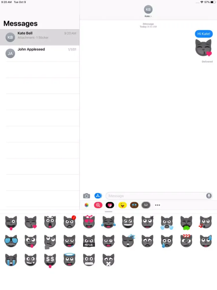 Gray Cat iPad  Screenshots