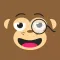 Little Monkey