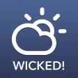 Wicked Weathah - Authentic Boston Weather & Effing Funny Conditions