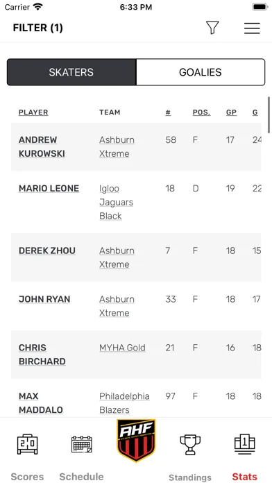Ảnh chụp màn hình của Atlantic Hockey Federation