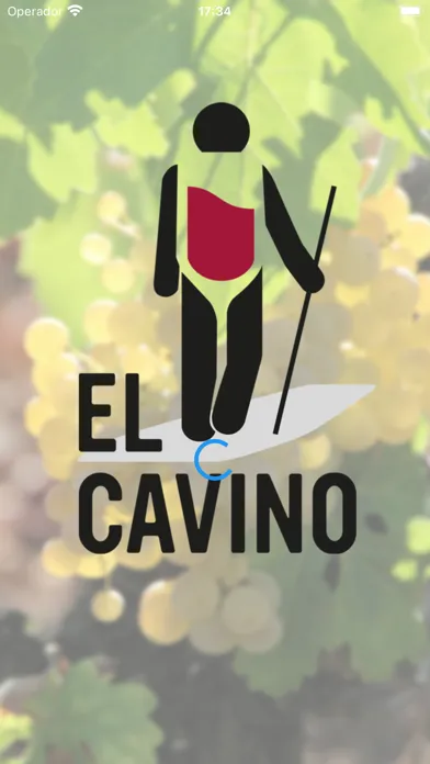 Tangkapan layar El Cavino