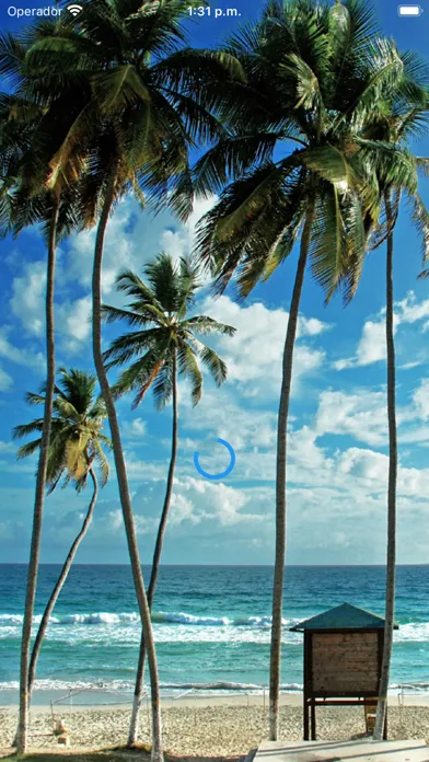 Capturas de pantalla de Isla Margarita App