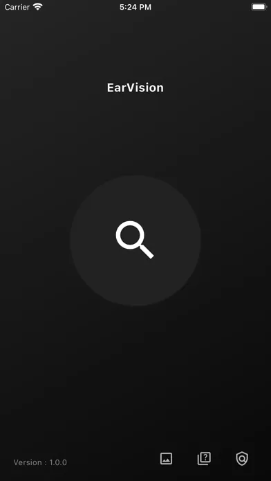 EarVision应用截图