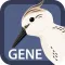 Sandpiper Gene Search