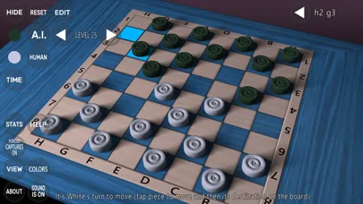 ภาพหน้าจอของ 3D Checkers Game