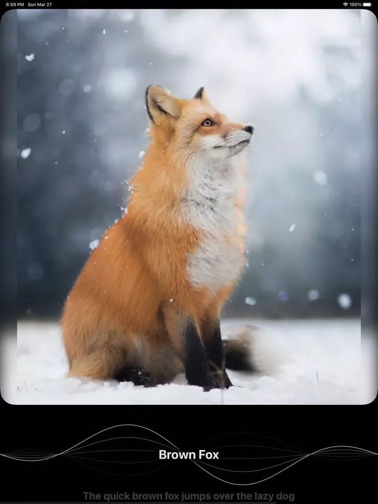 Capturas de pantalla de Speech to Image iPad 