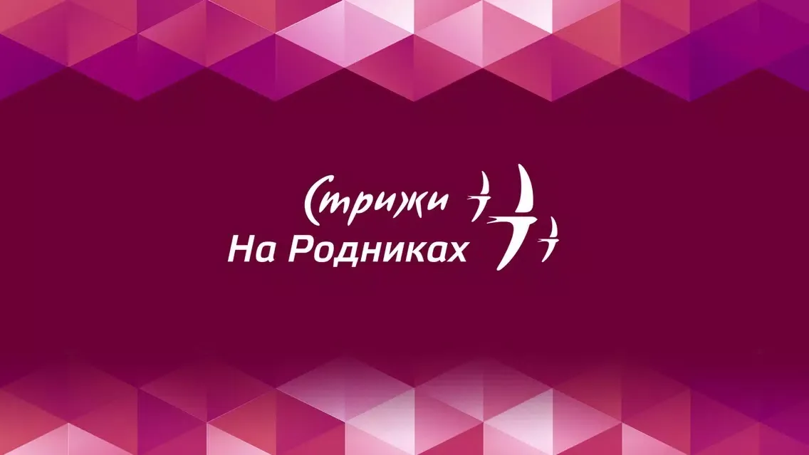 Стрижи на Родниках Screenshots
