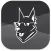 Blackdog - Best Entertainment