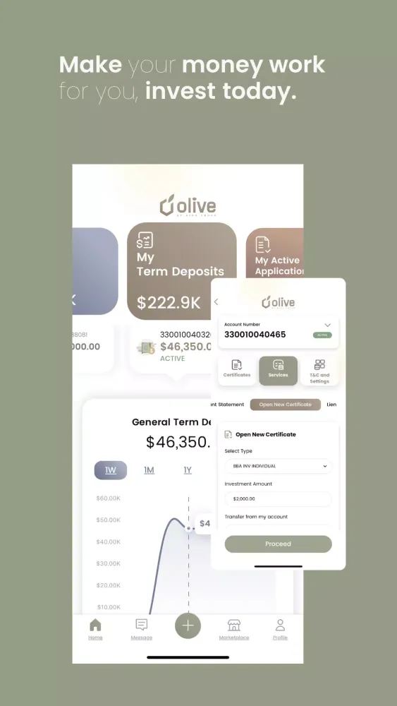 Olive Pro应用截图