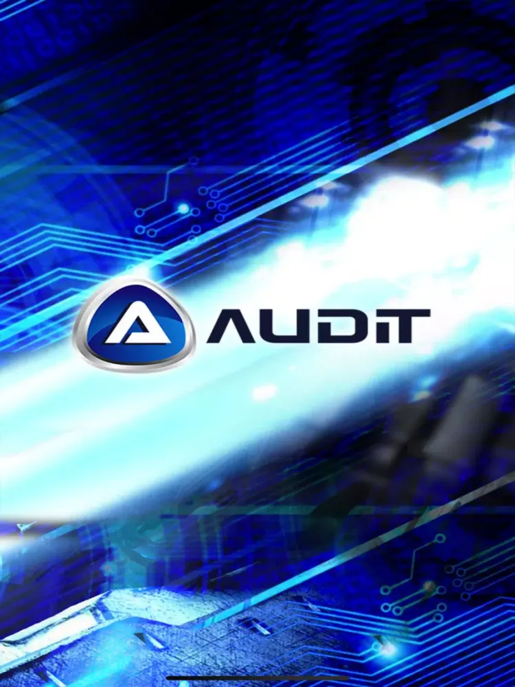 Audit - Safety Audits iPad 应用截图