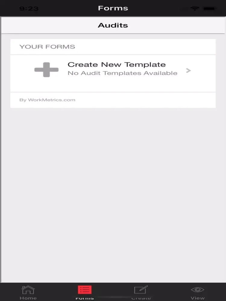 Audit - Safety Audits iPad 应用截图