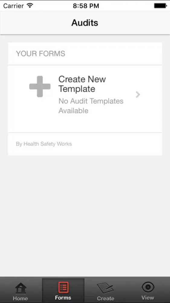 Audit - Safety Audits应用截图