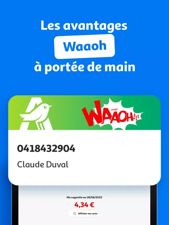 Скриншоты Auchan France iPad 