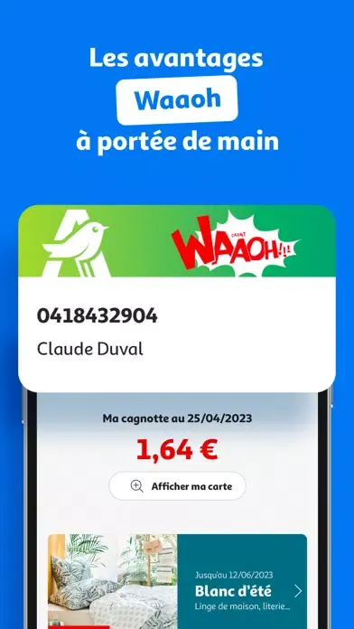 Скриншоты Auchan France