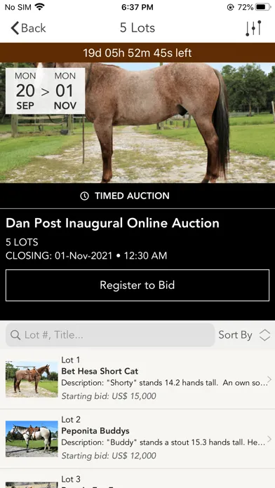 تصاویر Dan Post Quarter Horse Auction